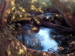 FZ019275E Water flowing Brook House Farm Campsite.jpg